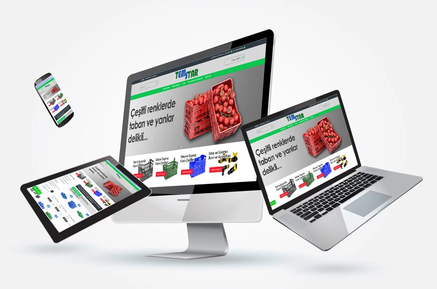 temstartarim-eticaret-web-tasarim